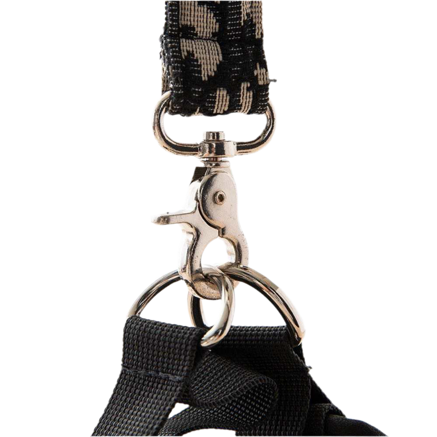 Le Luxe Harness & Leash Set